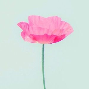 Meet your Posher, Leslies